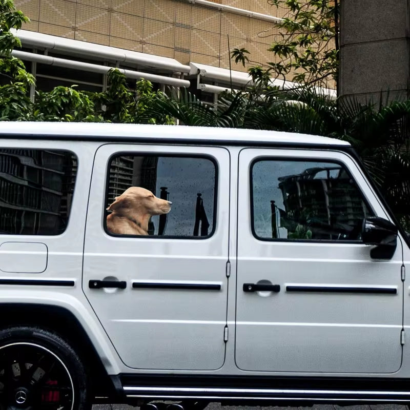 Car Side Window Sticker Right Side Golden Retriever Dog Sticker Funny Auto Windshield Decals Animal Decoration Car Accessories