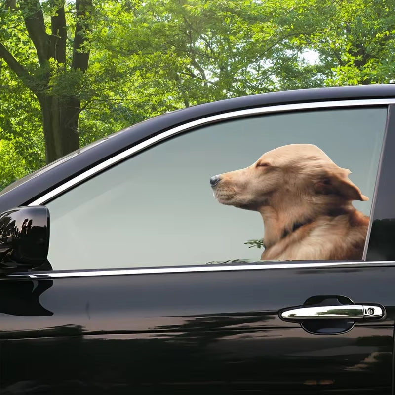 Car Side Window Sticker Right Side Golden Retriever Dog Sticker Funny Auto Windshield Decals Animal Decoration Car Accessories