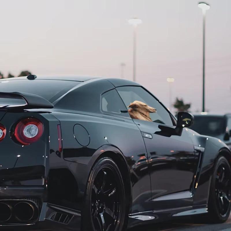 Car Side Window Sticker Right Side Golden Retriever Dog Sticker Funny Auto Windshield Decals Animal Decoration Car Accessories