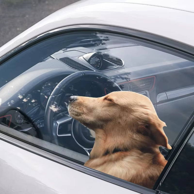 Car Side Window Sticker Right Side Golden Retriever Dog Sticker Funny Auto Windshield Decals Animal Decoration Car Accessories